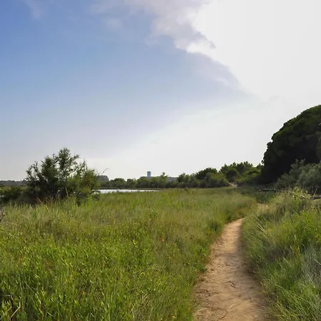 Ground-floor Haven Just 350mt From The